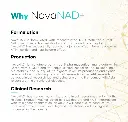 novanad4.webp