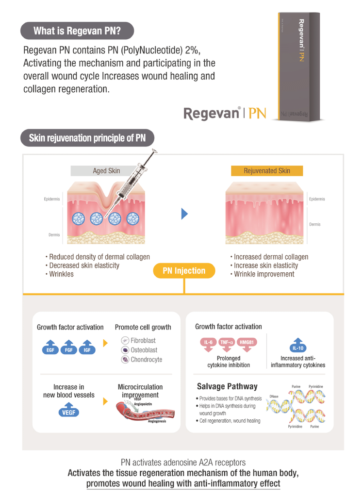 Regevan | PN