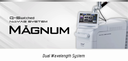 Magnum Q-Switched Nd:YAG System