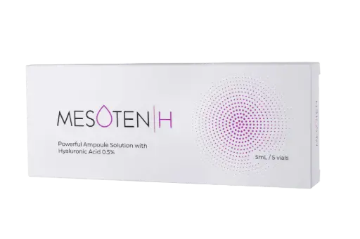 Mesoten H